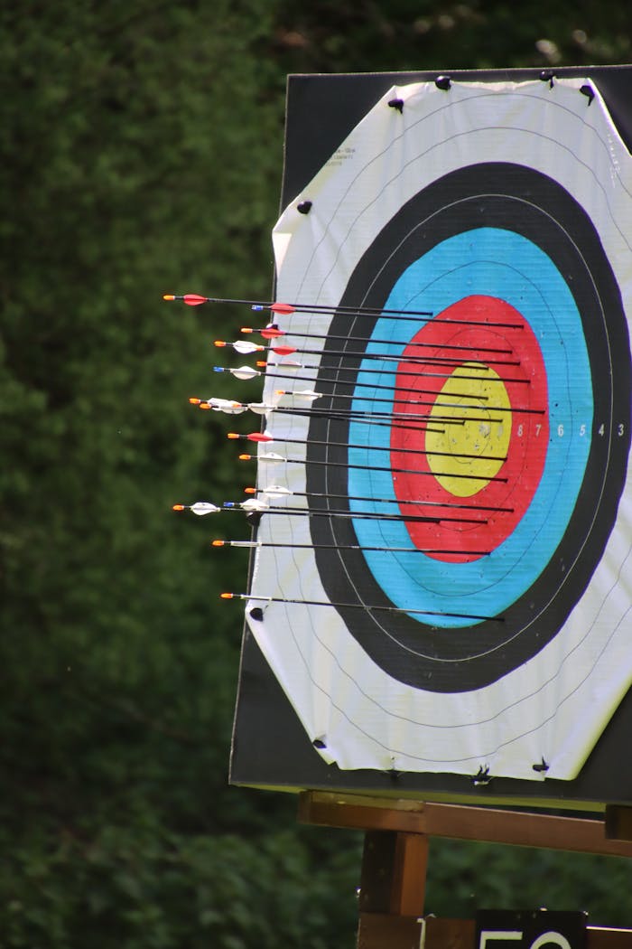 Multiple arrows shot at a target board outdoors, captured in a vertical shot.